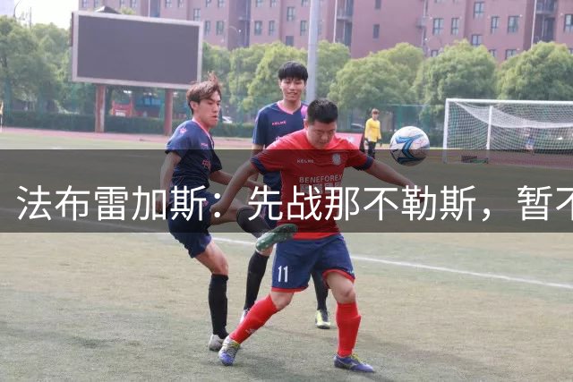 法布雷加斯：先战那不勒斯，暂不谈欧冠名单