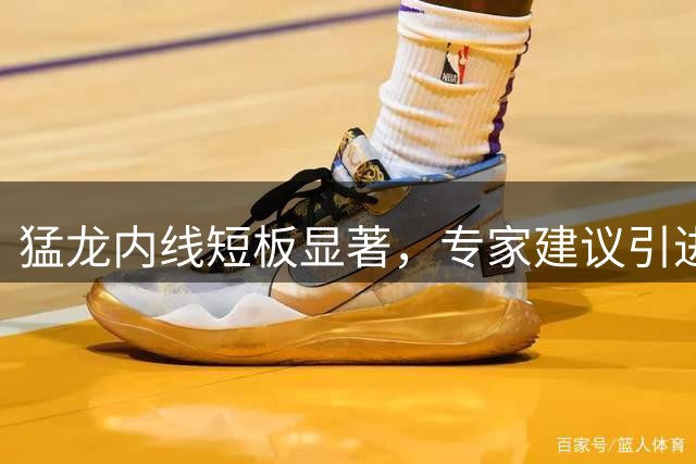 猛龙内线短板显著，专家建议引进加福德补强阵容